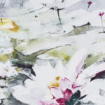 water lilies
