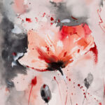 anemones