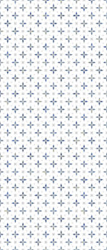 Aster – Bild 6