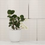 Trace - Image 4