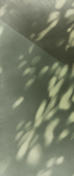 Glare - immagine 12