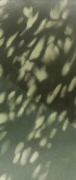 Glare - immagine 13