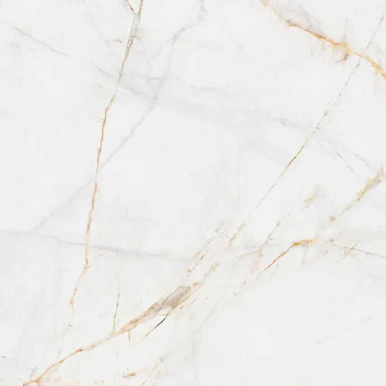 white porcelain tiles