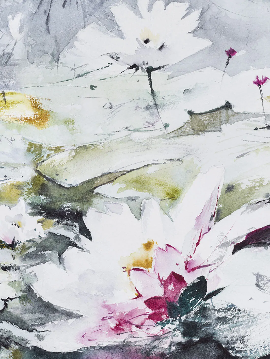water lilies – Image 1