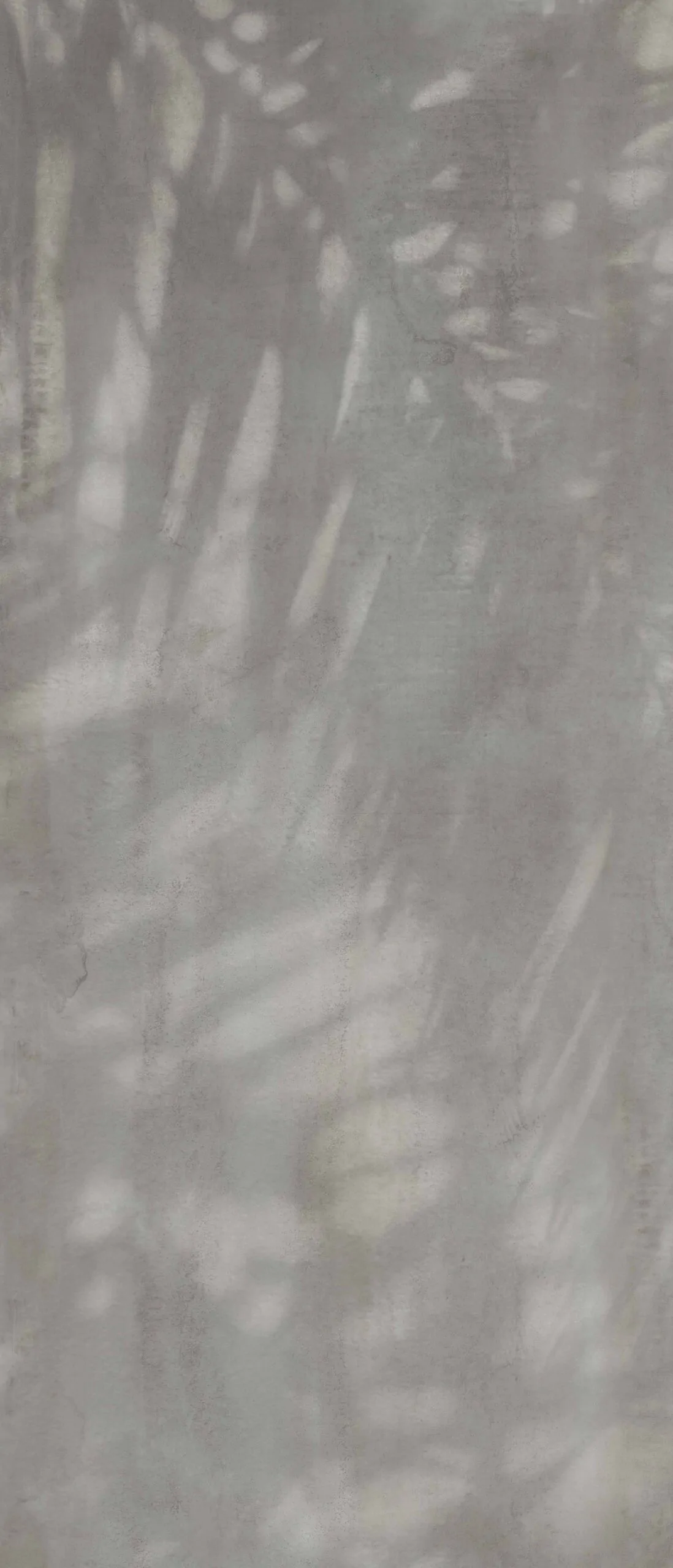 Sunray - Image 2